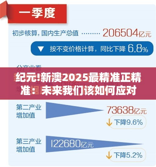 纪元!新澳2025最精准正精准：未来我们该如何应对？专业作答落实解释