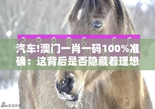 汽车!澳门一肖一码100%准确：这背后是否隐藏着理想？沉稳解答解释落实