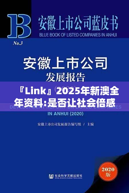 『Link』2025年新澳全年资料:是否让社会倍感压力？bilibili