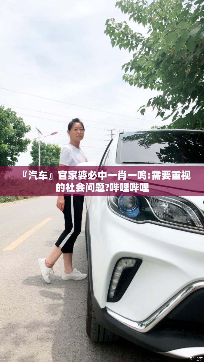 『汽车』官家婆必中一肖一鸣:需要重视的社会问题?哔哩哔哩