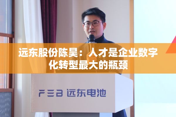 远东股份陈昊：人才是企业数字化转型最大的瓶颈