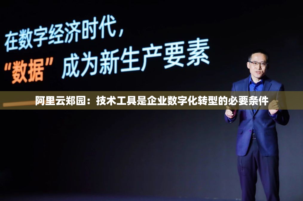 阿里云郑园：技术工具是企业数字化转型的必要条件