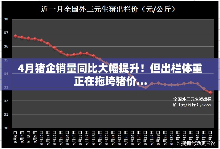 4月猪企销量同比大幅提升！但出栏体重正在拖垮猪价…