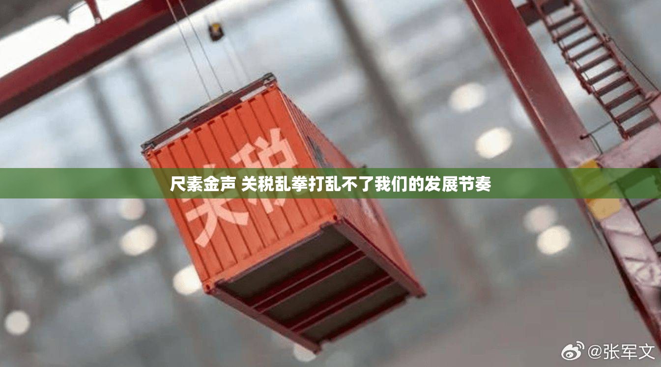 尺素金声 关税乱拳打乱不了我们的发展节奏