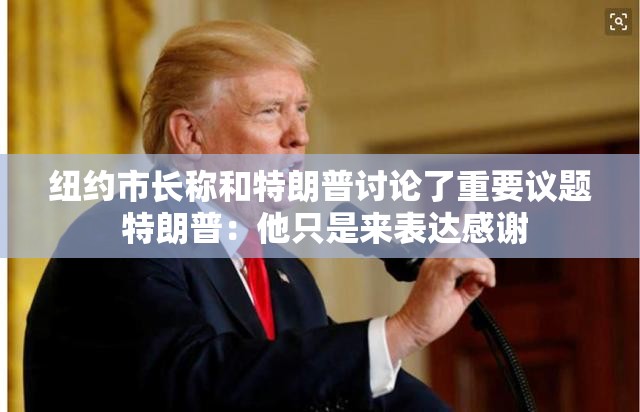 纽约市长称和特朗普讨论了重要议题 特朗普：他只是来表达感谢