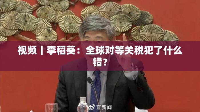 视频丨李稻葵：全球对等关税犯了什么错？