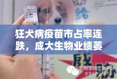 徐弘大