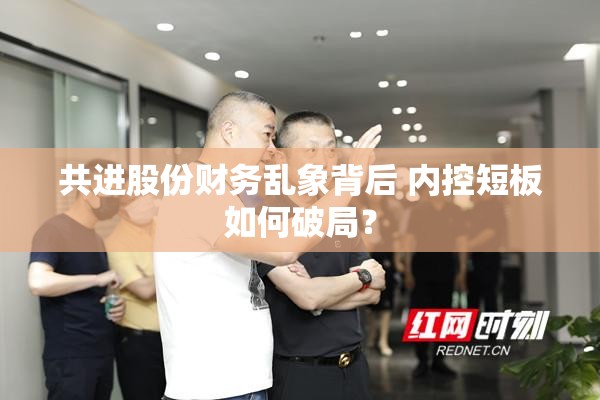 共进股份财务乱象背后 内控短板如何破局？