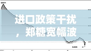 进口政策干扰，郑糖宽幅波动